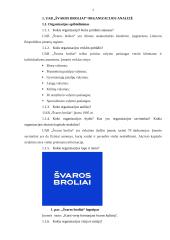 Organizacijos analizė 2 puslapis