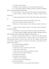 Organizacijos analizė 4 puslapis
