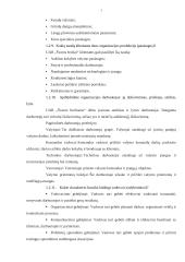 Organizacijos analizė 6 puslapis