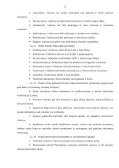 Organizacijos analizė 7 puslapis