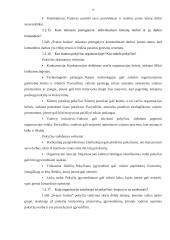 Organizacijos analizė 8 puslapis