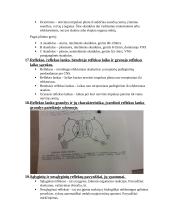 Anatomijos egzamino klausimai 5 puslapis