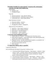 Anatomijos egzamino klausimai 6 puslapis