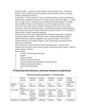 Anatomijos egzamino klausimai 9 puslapis