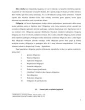 Vertybinių popierių rūšys, portfelis ir rizikos veiksniai 5 puslapis