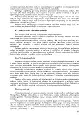 Vertybinių popierių rinka ir jos bruožai 11 puslapis