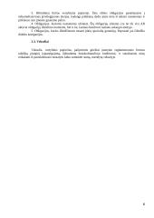 Vertybinių popierių rinka ir jos bruožai 6 puslapis
