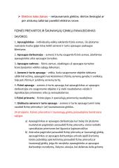 Šaudyklos naudojimo ir saugos elgesio taisyklės 4 puslapis