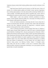 Lietuvos vertybinių popierių rinkos bruožai 13 puslapis