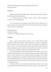 Pagrindiniai tarptautinės teisės principai. Konspektas 17 puslapis