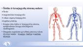 Širdies ir kraujagyslių sistema. Skaidrės 2 puslapis