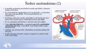 Širdies ir kraujagyslių sistema. Skaidrės 19 puslapis