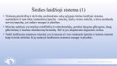 Širdies ir kraujagyslių sistema. Skaidrės 20 puslapis