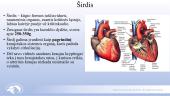 Širdies ir kraujagyslių sistema. Skaidrės 5 puslapis