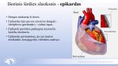 Širdies ir kraujagyslių sistema. Skaidrės 9 puslapis