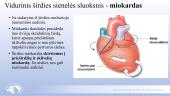 Širdies ir kraujagyslių sistema. Skaidrės 10 puslapis