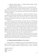 Slaugytojų profesinių kompetencijų tobulinimas 15 puslapis