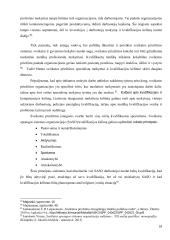 Slaugytojų profesinių kompetencijų tobulinimas 16 puslapis