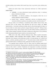 Slaugytojų profesinių kompetencijų tobulinimas 19 puslapis