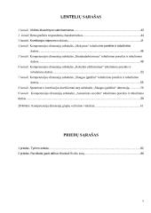 Slaugytojų profesinių kompetencijų tobulinimas 3 puslapis