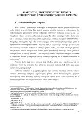 Slaugytojų profesinių kompetencijų tobulinimas 8 puslapis