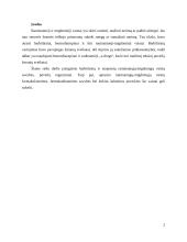 Raminamieji ir migdomieji 2 puslapis