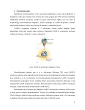 Raminamieji ir migdomieji 6 puslapis