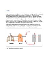 Biologiniai deguonies pernešėjai 2 puslapis