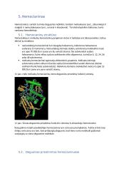 Biologiniai deguonies pernešėjai 11 puslapis