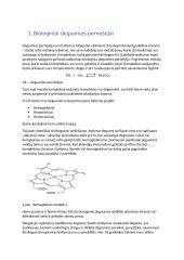 Biologiniai deguonies pernešėjai 3 puslapis