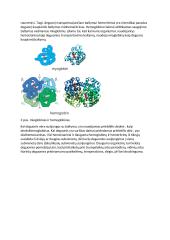 Biologiniai deguonies pernešėjai 4 puslapis