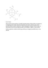 Biologiniai deguonies pernešėjai 6 puslapis