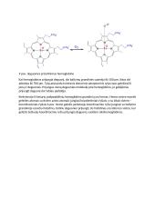 Biologiniai deguonies pernešėjai 9 puslapis