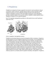 Biologiniai deguonies pernešėjai 10 puslapis