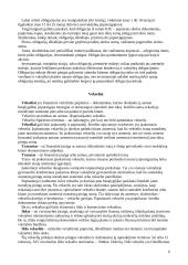 Vertybiniai popierių rūšys ir vertybiniai popieriai kaip nusikaltimų dalykas 6 puslapis