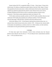 Vertybinių popierių sąvoka ir esmė 11 puslapis