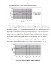 Vertybinių popierių sąvoka ir esmė 17 puslapis