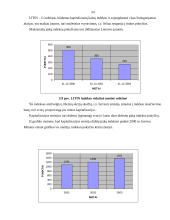 Vertybinių popierių sąvoka ir esmė 19 puslapis