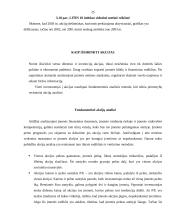 Vertybinių popierių sąvoka ir esmė 20 puslapis