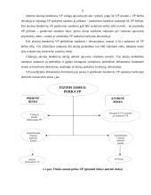 Vertybinių popierių sąvoka ir esmė 4 puslapis