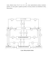 Vertybinių popierių sąvoka ir esmė 7 puslapis