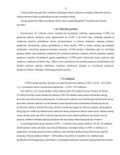 Vertybinių popierių sąvoka ir esmė 10 puslapis