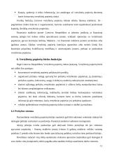 Vertybinių popierių biržų funkcijos bei veikla 11 puslapis