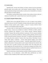 Vertybinių popierių biržų funkcijos bei veikla 12 puslapis