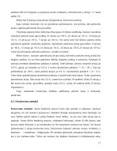 Vertybinių popierių biržų funkcijos bei veikla 17 puslapis