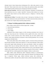 Vertybinių popierių biržų funkcijos bei veikla 18 puslapis