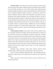 Vertybinių popierių biržų funkcijos bei veikla 6 puslapis