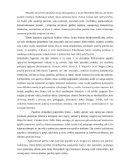 Vaikų, patiriančių patyčias mokyklose, savigarbos stiprinimas 3 puslapis