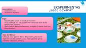 10 įdomių eksperimentų 11 puslapis
