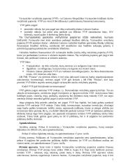 Vertybinių popierių rinkos produktai 7 puslapis